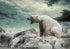 Angry Polar Bear Diamond Painting